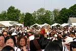 hteedaw0063.jpg